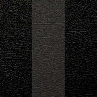 Black w/ Charcoal Inserts