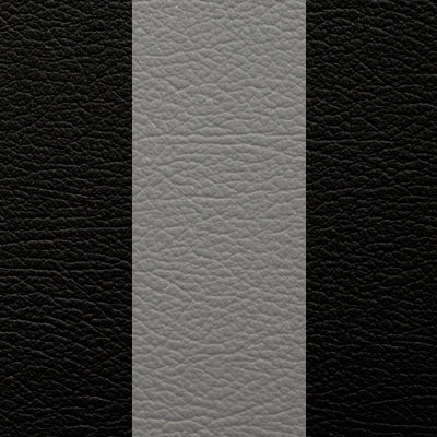 Black w/ Medium Gray Inserts