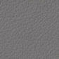 Medium Gray